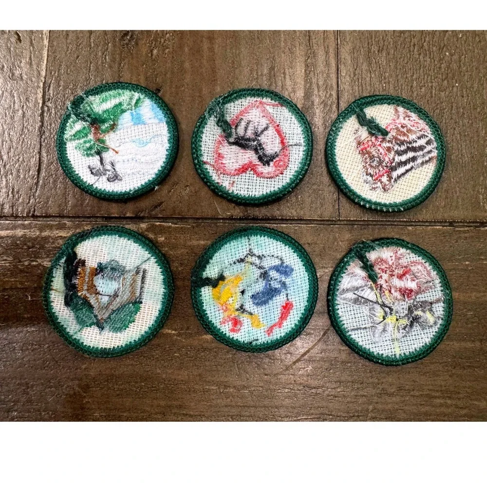 Vintage Girl Scout Proficiency Badge Lot of 6 Horse Camping Nature Wildlife 80s